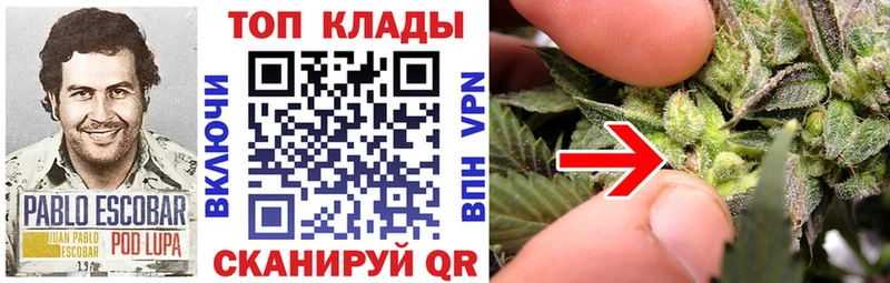 Где купить наркоту Шумерля Псилоцибиновые грибы ГАШИШ МАРИХУАНА МДМА Амфетамин A-PVP
