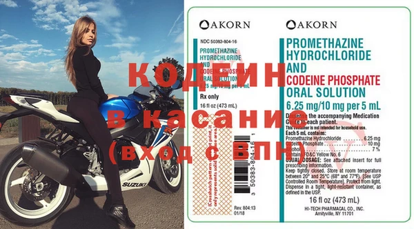 хмурый Алзамай